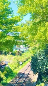 光栄寺