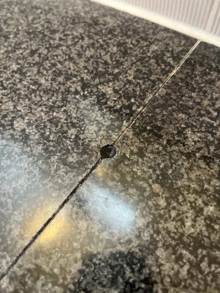 ロッシフミさんが投稿した巴屋（ともえや）に関する口コミの画像