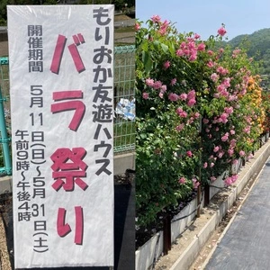 日笠バラ園