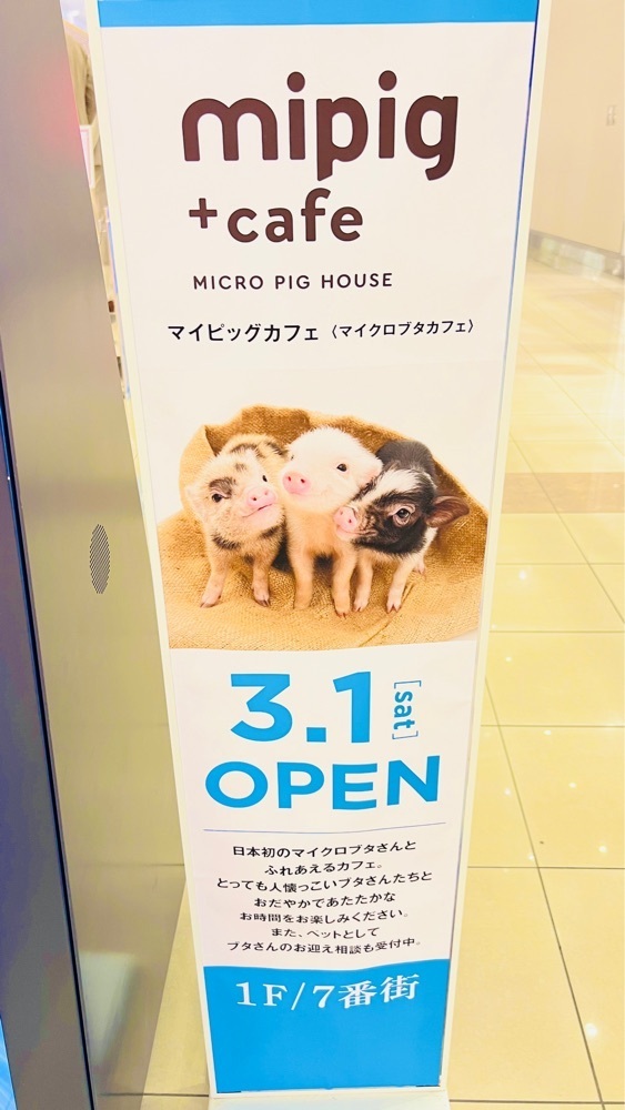 miiさんが投稿したミスタードーナツ モラージュ菖蒲ショップ（mister Donut）に関する口コミの画像