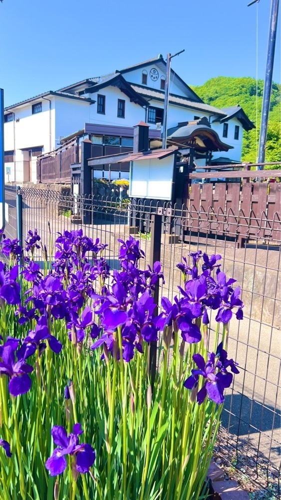 miiさんが投稿したながめ余興場に関する口コミの画像