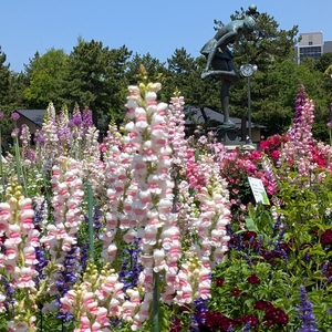 鶴舞公園の「花まつり」