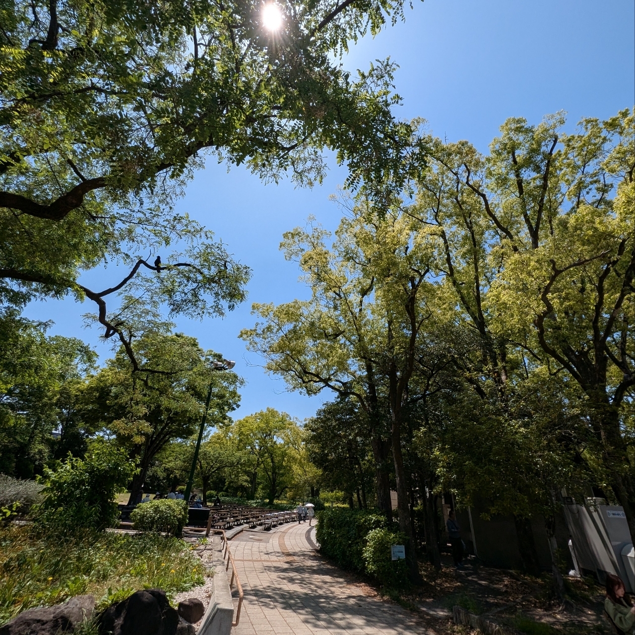 ぬっくさんが投稿した鶴舞公園の「花まつり」に関する口コミの画像