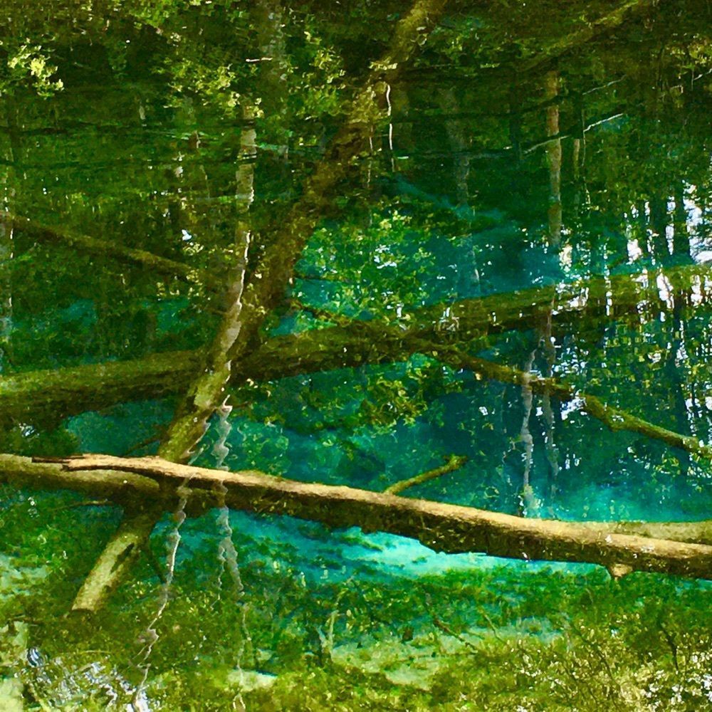yoshiの画像