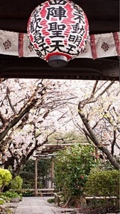 雨宝院