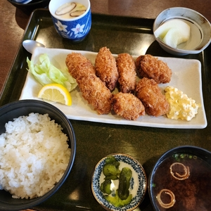 味花来