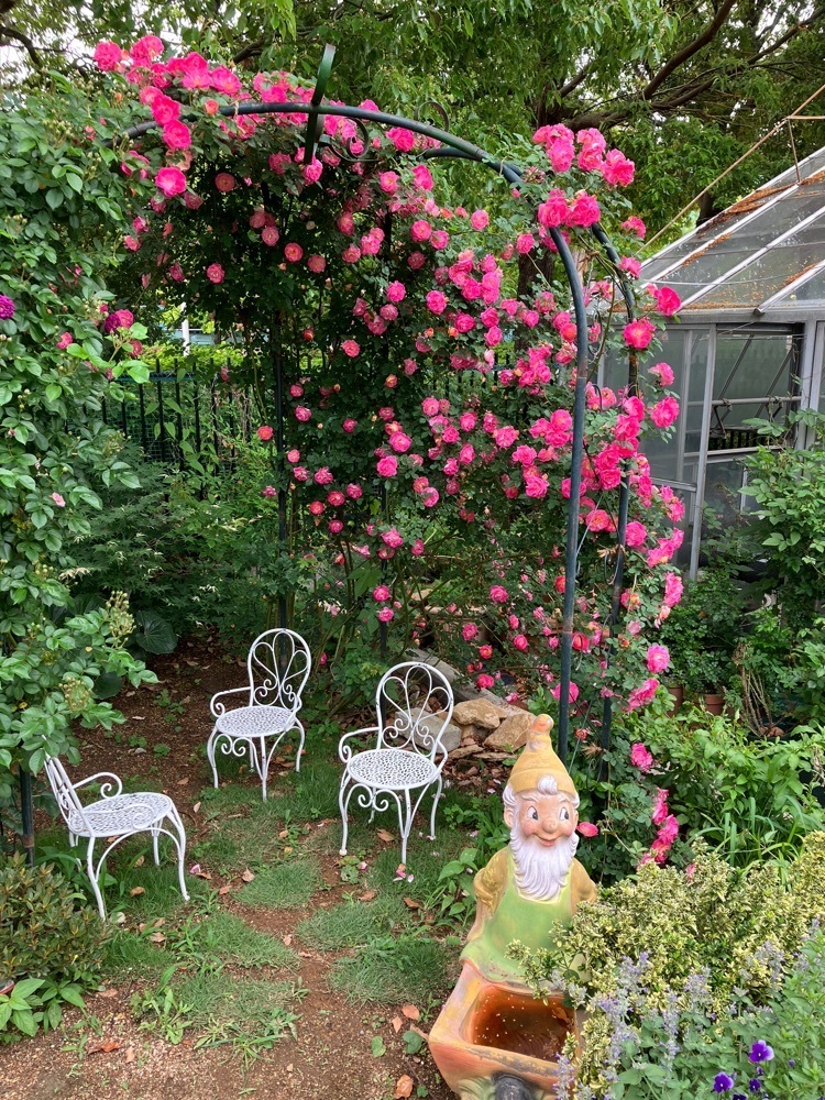 Nさんが投稿したROSA MAISON に関する口コミの画像