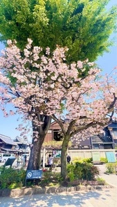 川越一番街