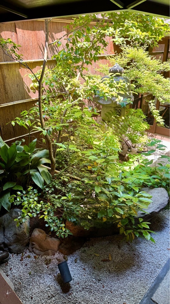 kumakentoraさんが投稿した麺処むらじに関する口コミの画像
