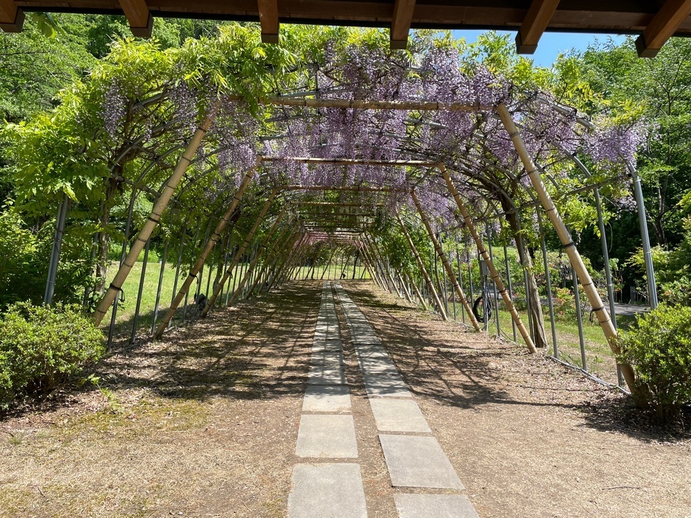 fumiさんが投稿したえさし藤原の郷（えさしふじわらのさと）に関する口コミの画像