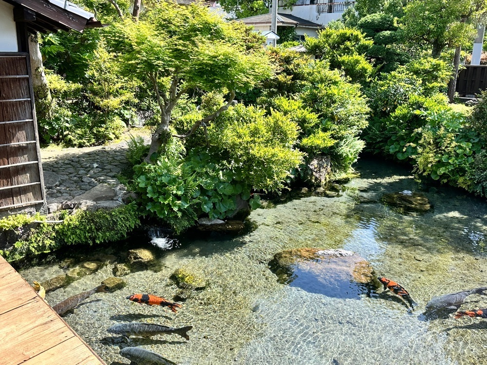 BOM-BA-YEさんが投稿した湧水庭園「四明荘」に関する口コミの画像