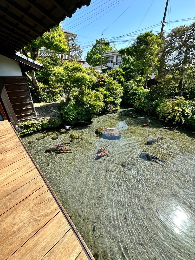 BOM-BA-YEさんが投稿した湧水庭園「四明荘」に関する口コミの画像