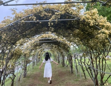県立羽生水郷公園