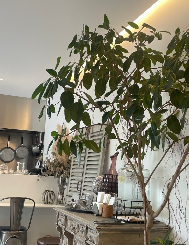 hirokororinさんが投稿したMARINE CAFE（マリンカフェ）に関する口コミの画像