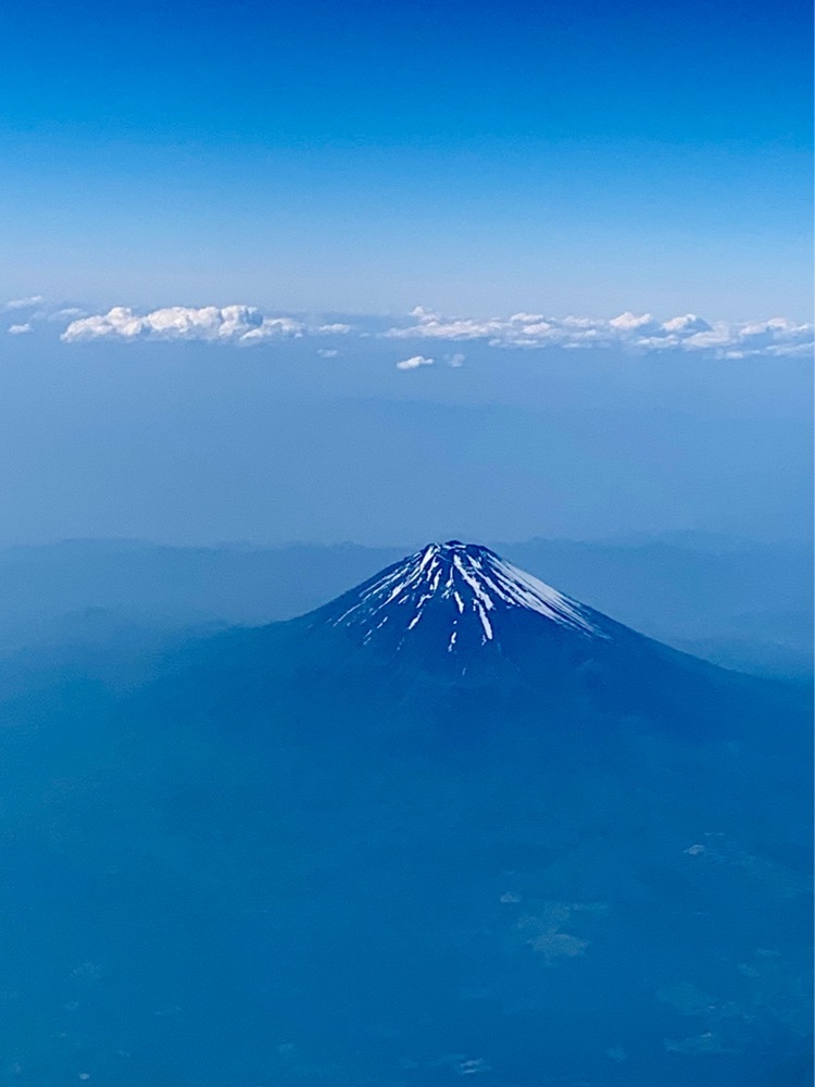 ＪＵNさんが投稿したANA FESTA 羽田65番ゲート店（エーエヌエー フェスタ）に関する口コミの画像