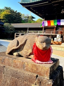 村松山虚空蔵堂