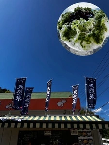 蔵元八義の直営 天然氷のかき氷 道の駅はくしゅうエブリ前店