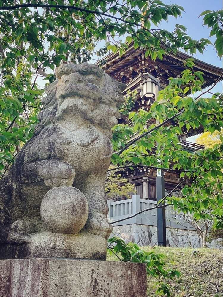 猫なぎ。さんが投稿した村松山虚空蔵堂に関する口コミの画像
