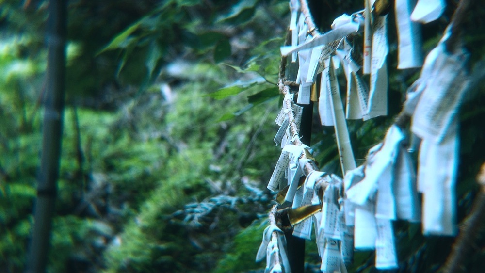 兎きちさんが投稿した速川神社に関する口コミの画像