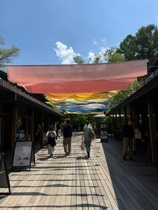 MORIASOBI（モリアソビ）
