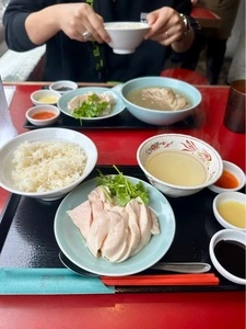 獅天鶏飯