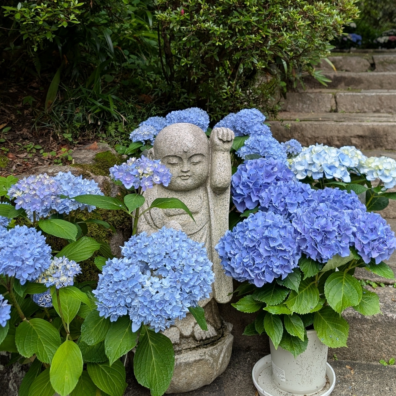 ぬっくさんが投稿した岡寺仁王門に関する口コミの画像