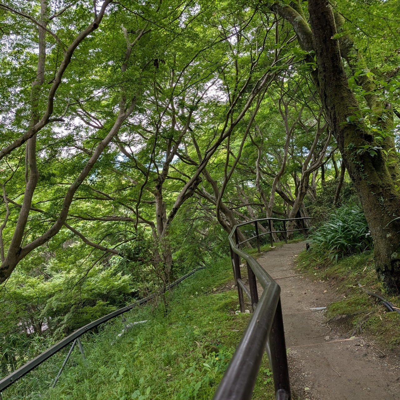 ぬっくさんが投稿した岡寺仁王門に関する口コミの画像
