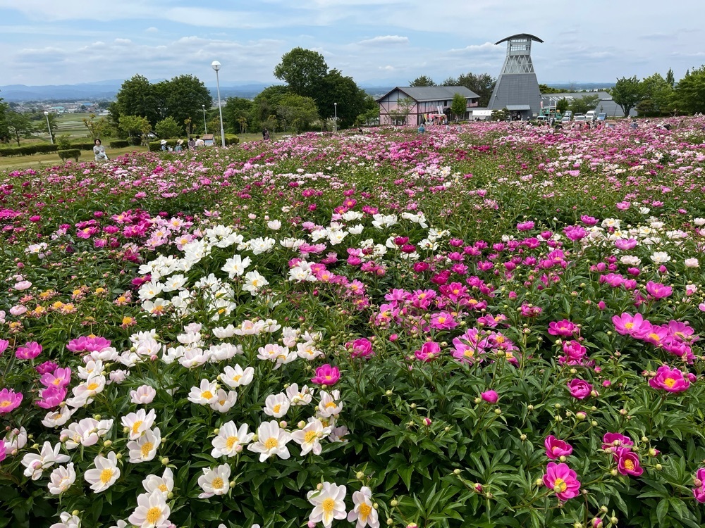 コバッチさんが投稿した愛宕山公園に関する口コミの画像