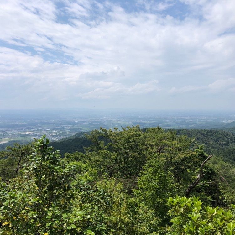 takeさんが投稿した東海自然歩道に関する口コミの画像