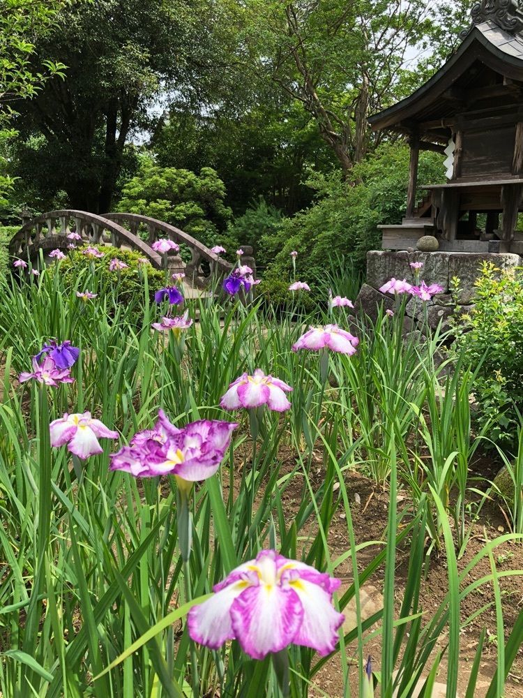 Nさんが投稿した放光寺（山梨県甲州市）に関する口コミの画像