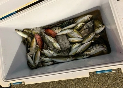 祝島 2枚目