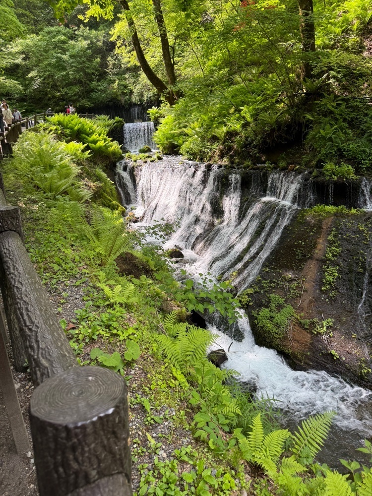 jun1216さんが投稿した白糸の滝売店に関する口コミの画像