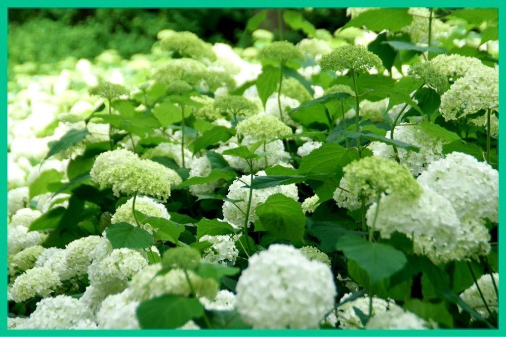 junkunさんが投稿したハケの茶屋に関する口コミの画像