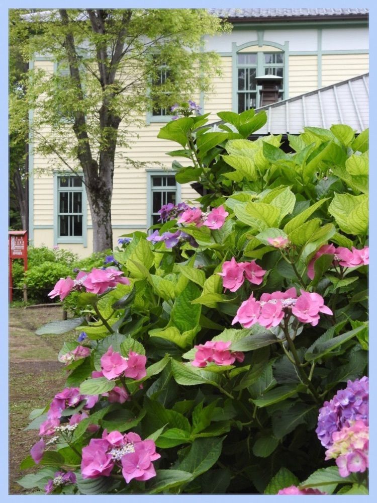 junkunさんが投稿したハケの茶屋に関する口コミの画像