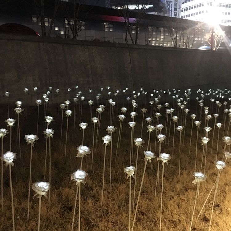 fennec97さんが投稿したDDP「LEDバラ庭園」に関する口コミの画像