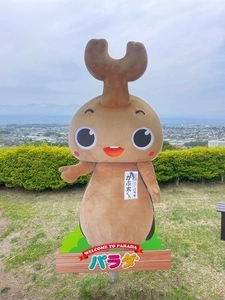 PARADA RESORT BBQ（パラダリゾート バーベキュー）