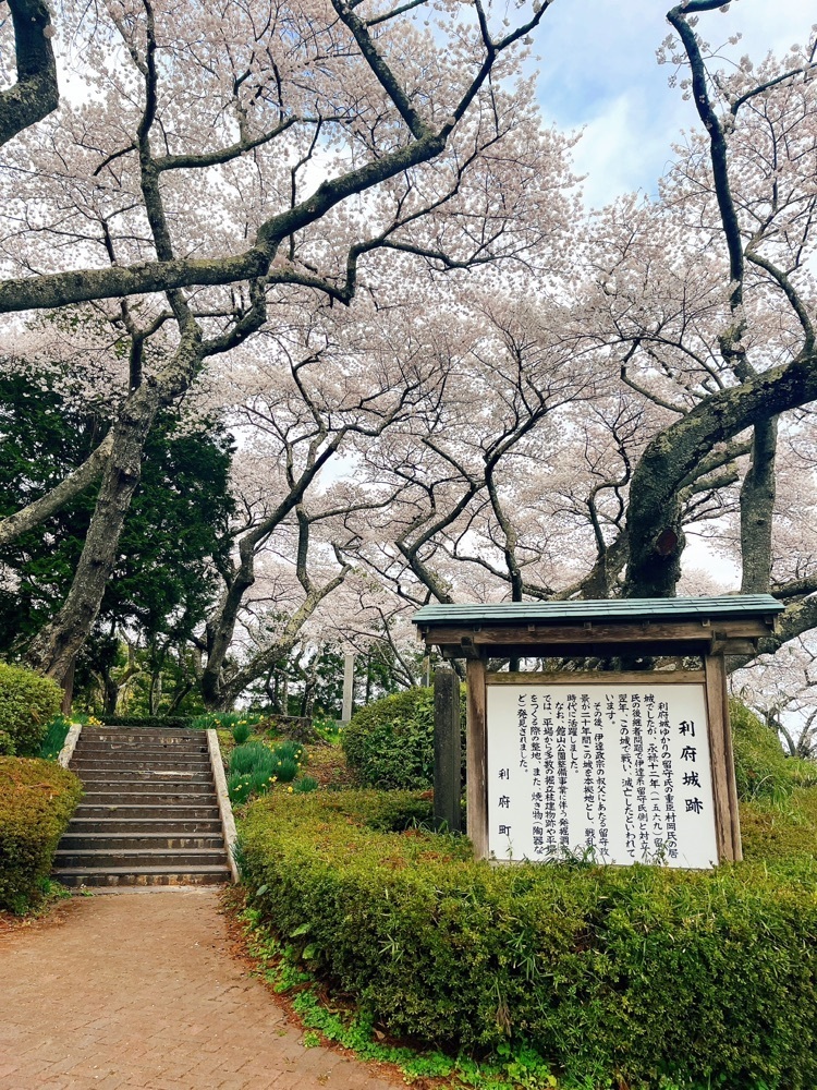 猫なぎ。さんが投稿した利府城跡に関する口コミの画像