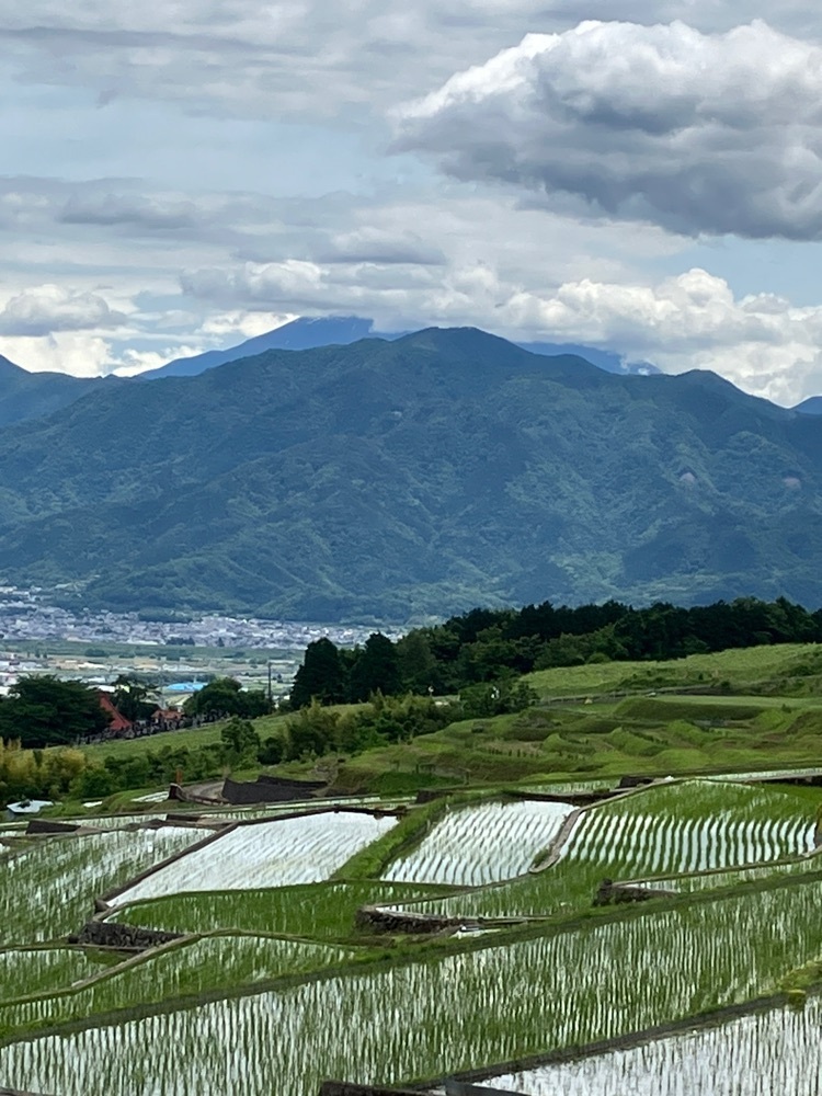Nさんが投稿した中野の棚田に関する口コミの画像