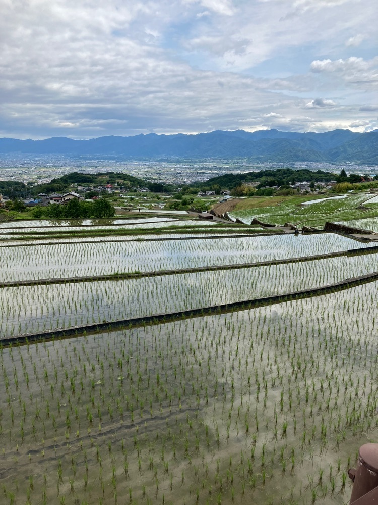 Nさんが投稿した中野の棚田に関する口コミの画像