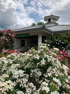 山梨県富士川クラフトパーク