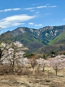 ふるさと村郷土館