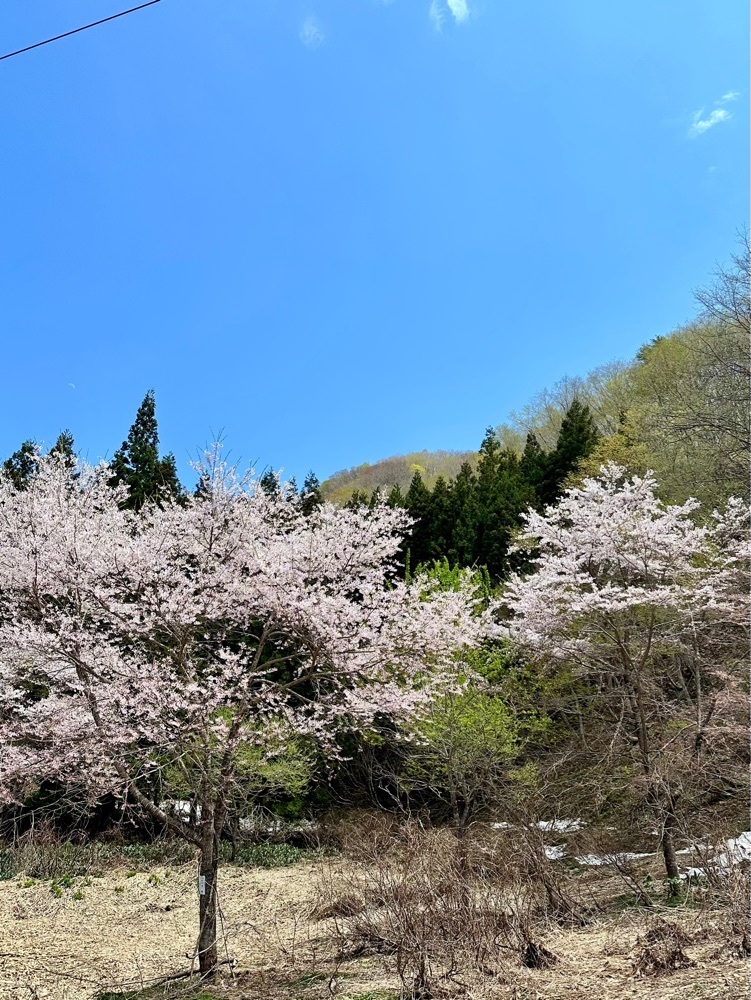 からっ風②さんが投稿したふるさと村郷土館に関する口コミの画像