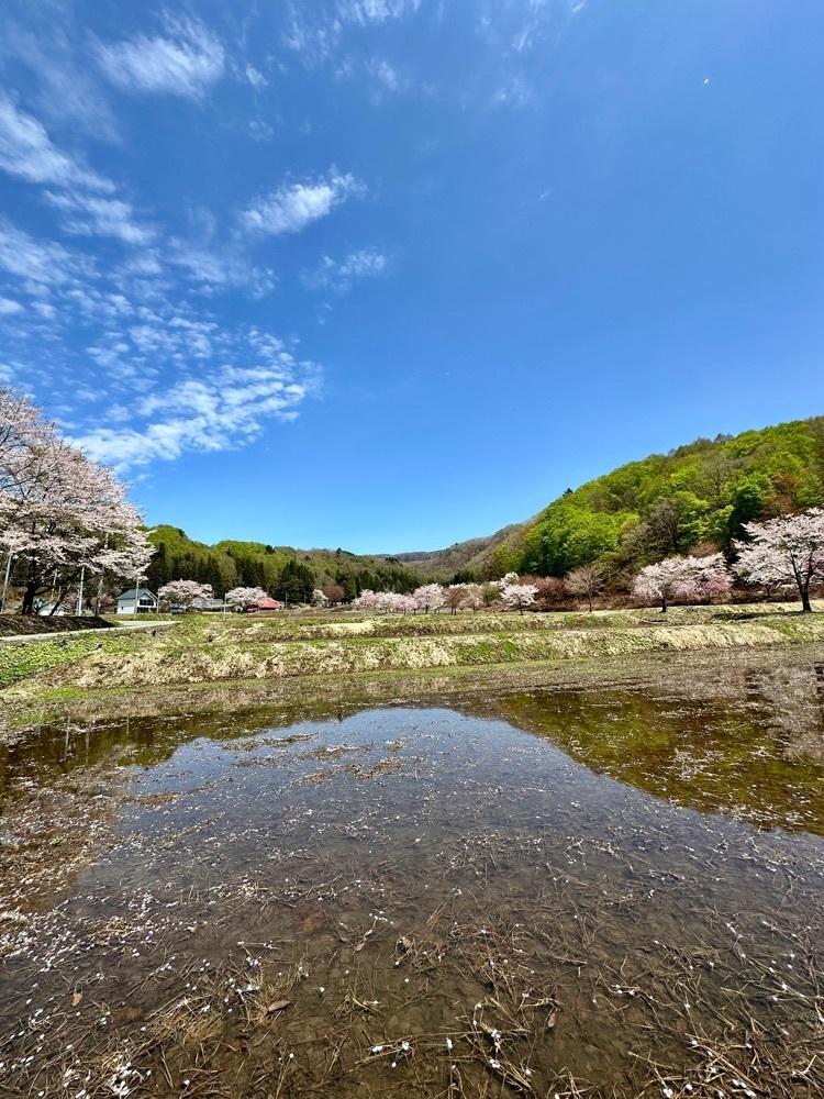 からっ風②さんが投稿したふるさと村郷土館に関する口コミの画像