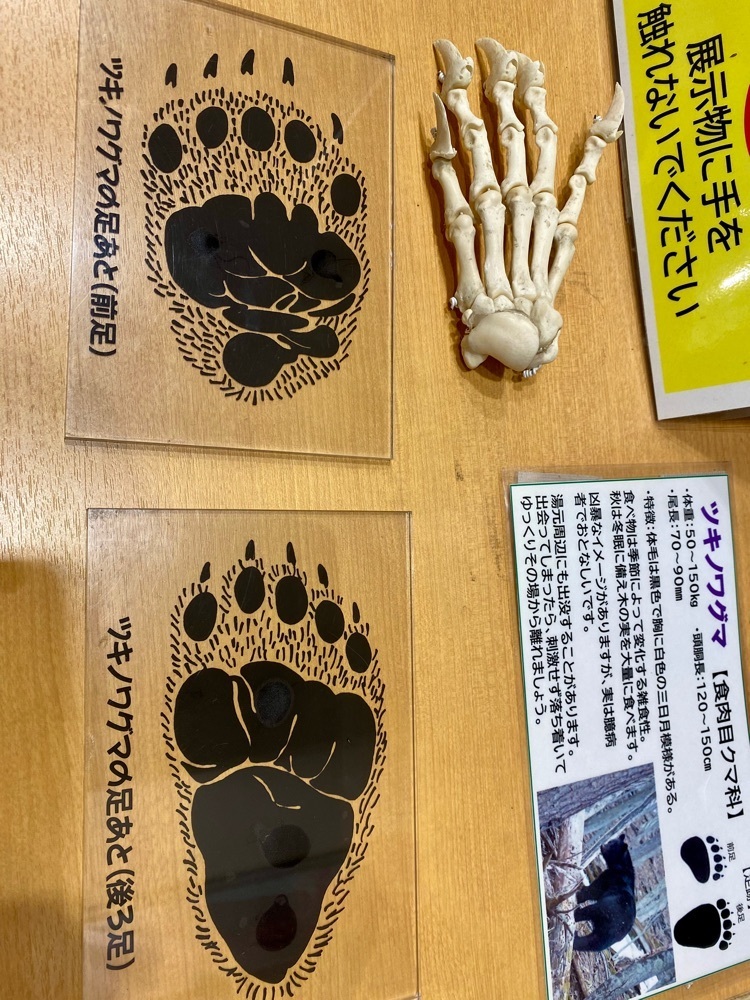 calm_gift_1030さんが投稿した日光湯元ビジターセンターに関する口コミの画像