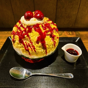 神保町 志膳（かき氷・薬膳BAR）