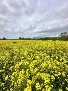 千曲川河川公園（リバーサイドパーク）