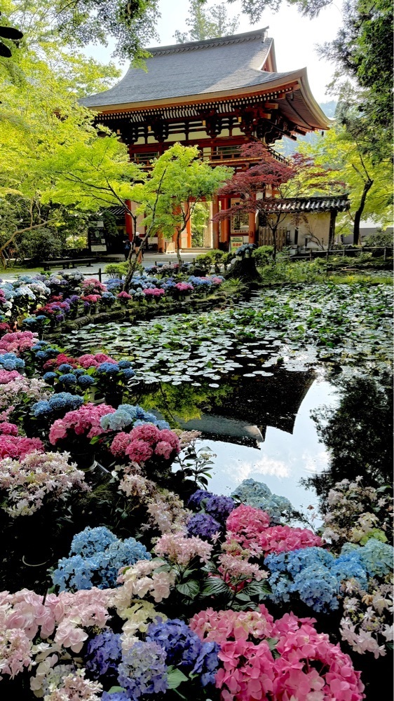ぺたこ♡さんが投稿した室生寺仁王門に関する口コミの画像