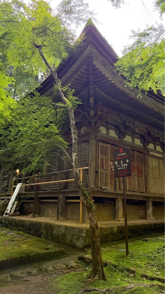 ぺたこ♡さんが投稿した室生寺仁王門に関する口コミの画像