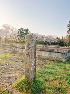 多賀城政庁跡