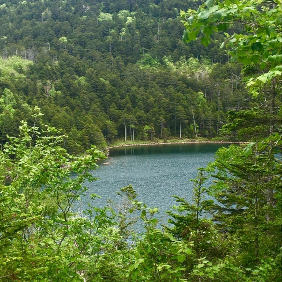 yoshiさんが投稿した駒止湖に関する口コミの画像